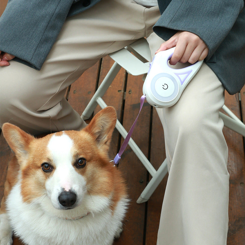 NightGlow™ Retractable Leash + Collar – Built-In Spotlight for Safe Walks
